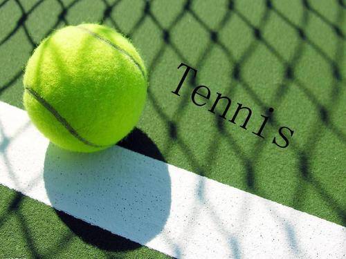 求进步的精 求进步的精