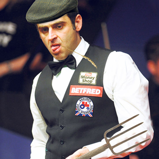 运动联合会 运动联合会