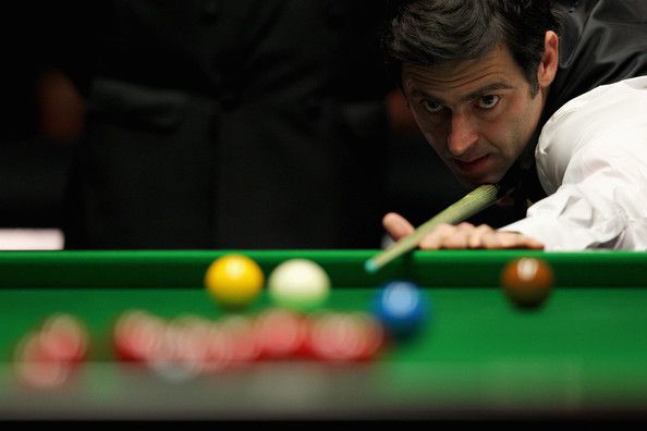 正在牵动豪 正在牵动豪